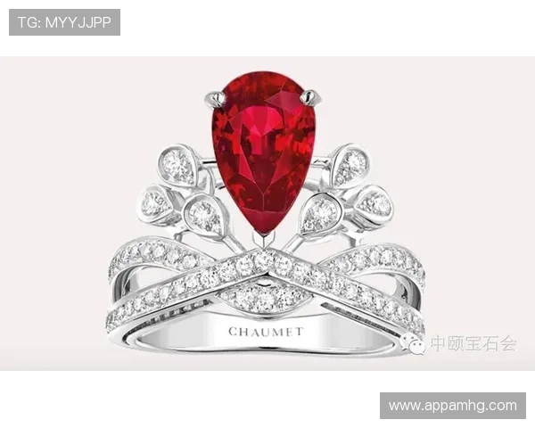 欧洲皇冠代表的尊贵象征与历史渊源揭秘探讨